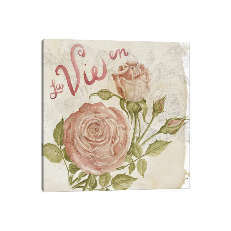 Rose Romance II by Jennifer Paxton Parker - Wrapped Canvas Print, 45.72 cm H x 45.72 cm W x 1.91 cm D