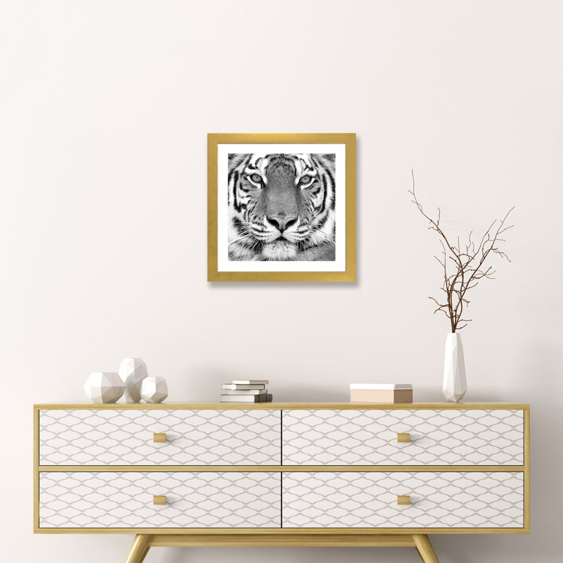 «Tiger» par PhotoINC Studio - impression d'art graphique, H 16 po x l 16 po x p 1 po, Papier encadré doré