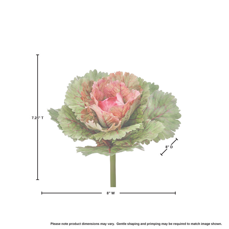 Piqûre ornementale chou frisé, Rose