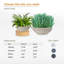 Grand pot de fleurs Kute Nest intérieur / extérieur en fibre de ronds D22 "-114407582-114407583