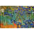" Irises " by Vincent Van Gogh-1665501754-1665502978