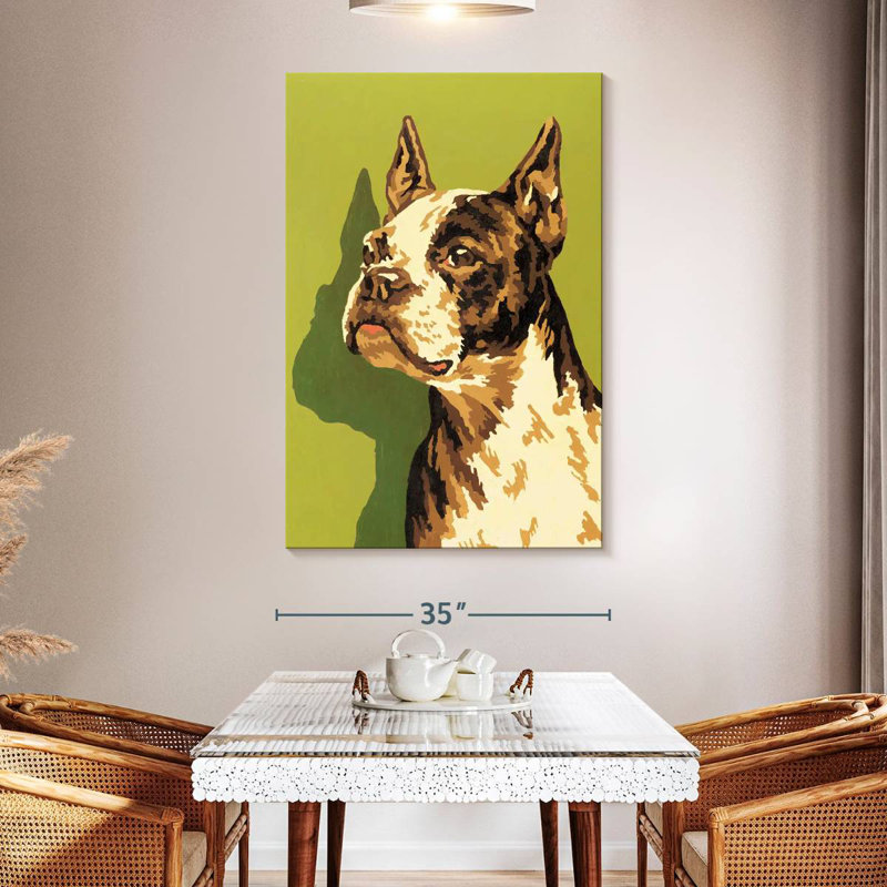 Boston-terrier, H 51 po x l 34 po