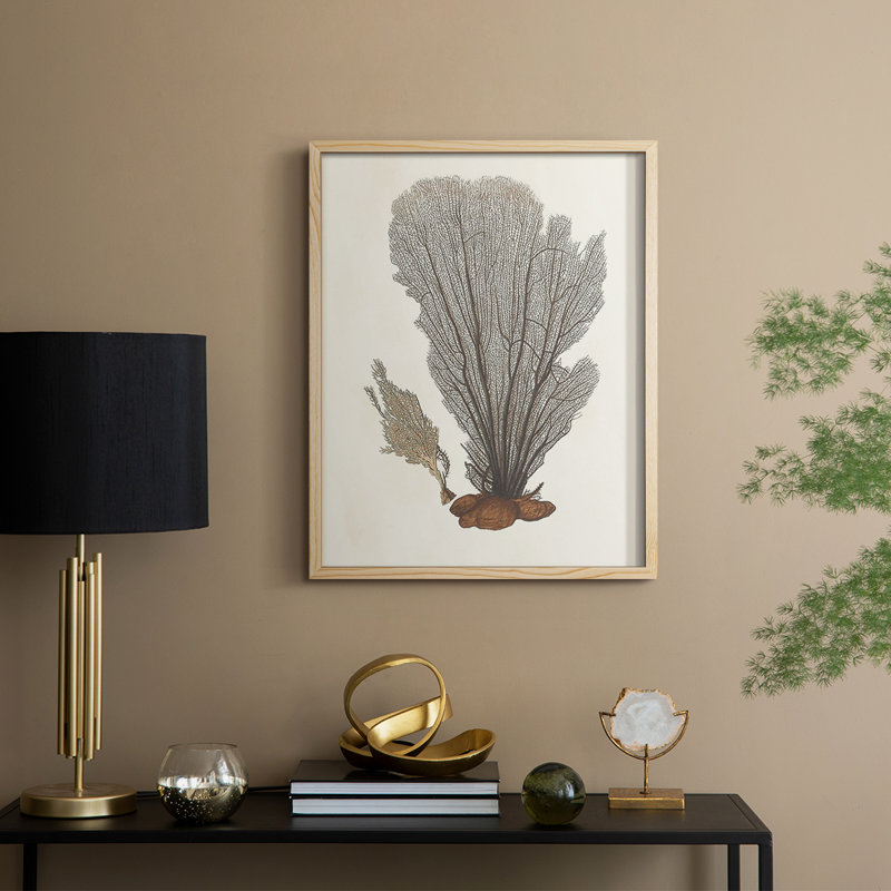 Knorr Shells & Coral III, reproduction encadrée - bois massif, H 21 po x l 17 po