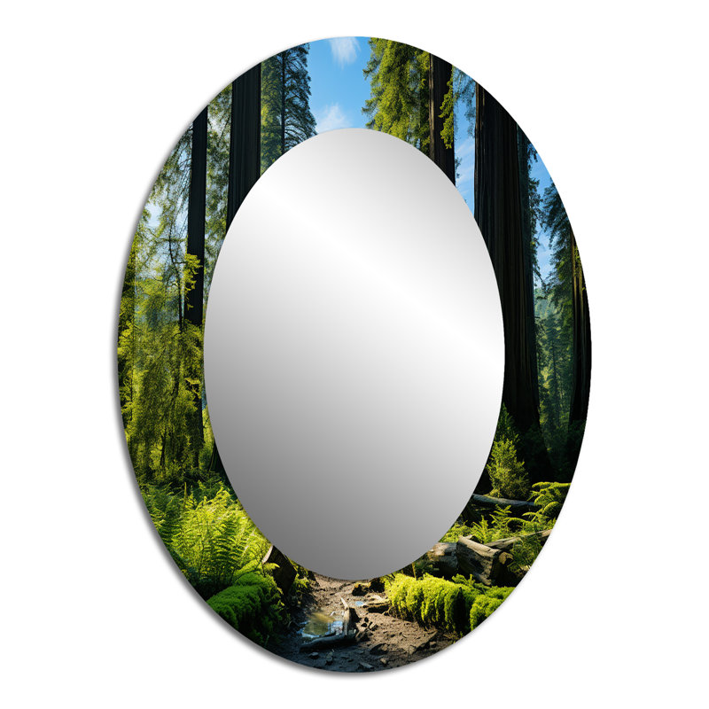 Miroir mural Redwood Giants Tree Forest II, 40 po x 30 po