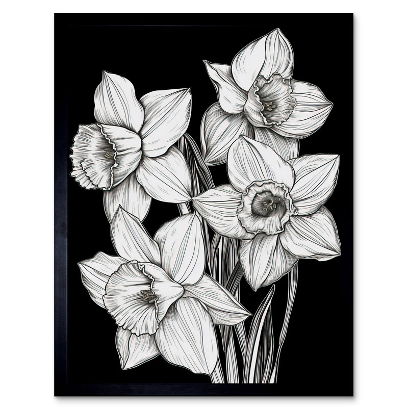 Nagao Daffodil Wildflower Plant Blooms Black And White - Single Picture Frame Print