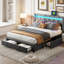 Storage Bed-1322851002-1322851003