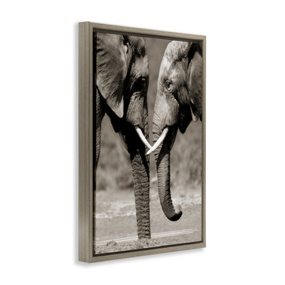 Heartwarming Elephant Pair