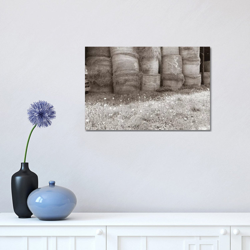 Sepia Farm Study V by Alicia Ludwig - Wrapped Canvas Print, 30.48cm H x 45.72cm W x 1.91cm D