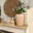 Felicie Ceramic Textured Novelty Table Vase-2118843245