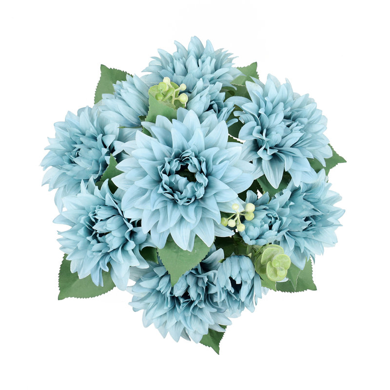 Buissons de dahlia, Bleu