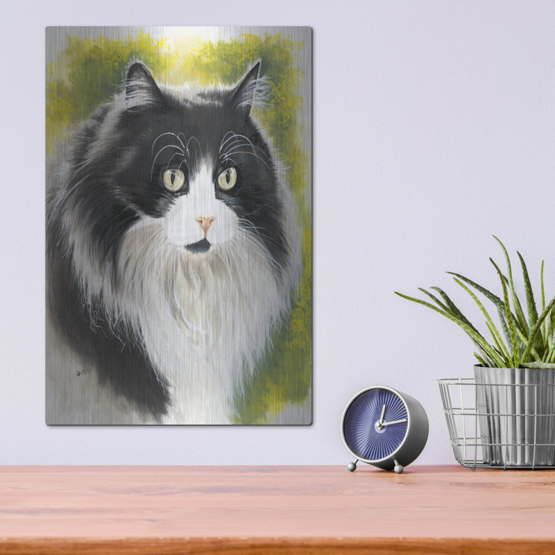 «Maine Coon 2» par Barbara Keith, H 16 po x l 12 po
