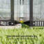 Walk-In Greenhouse, serre de style moderne