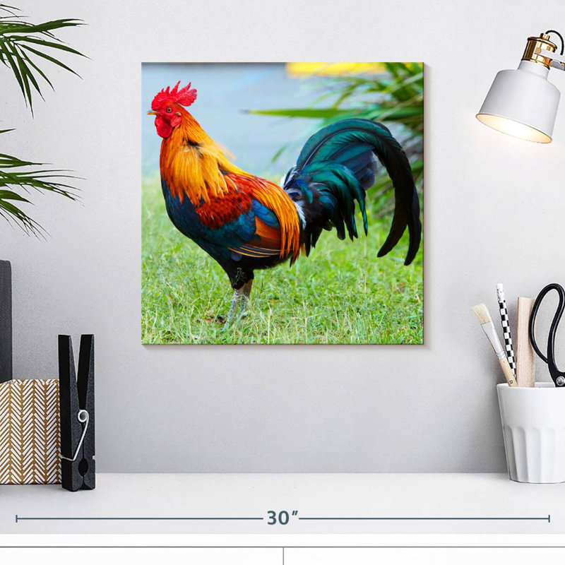 Crowle Rooster On Grass, 16" H x 16" W