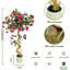 120cm Plant