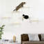 Perchoir pour chat 13,75 po Decarvalho