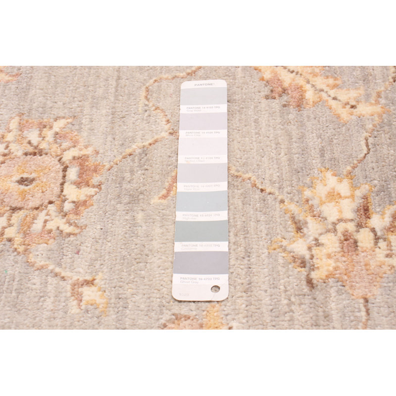 Tapis unique en laine noué à la main gris clair / beige nouvel âge 4 pi 1 po x 6 pi 2 po ADSET