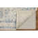 Iluka Oriental Indoor Rug