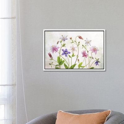 Columbine 1 Piece Wall Art on Canvas