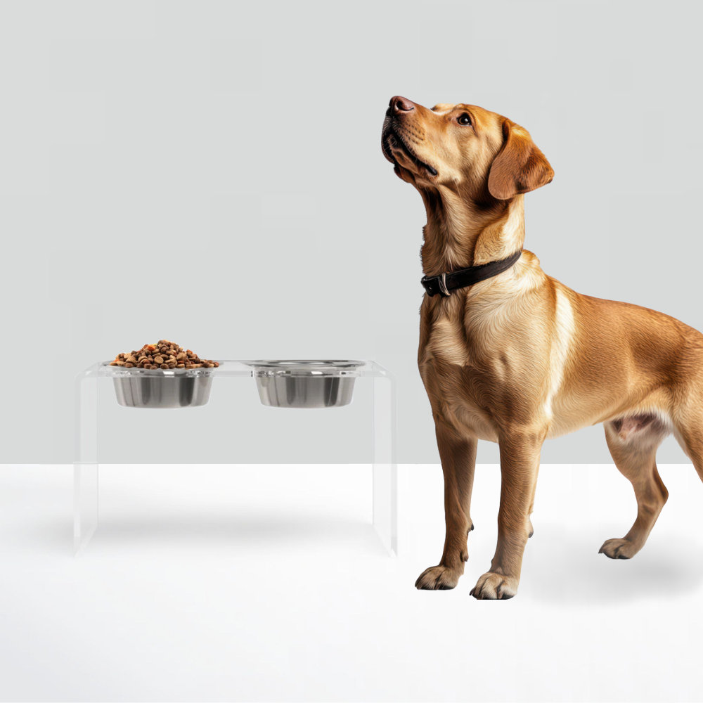 Tall Clear Elevated Feeder with Bowls, Silver, Clear