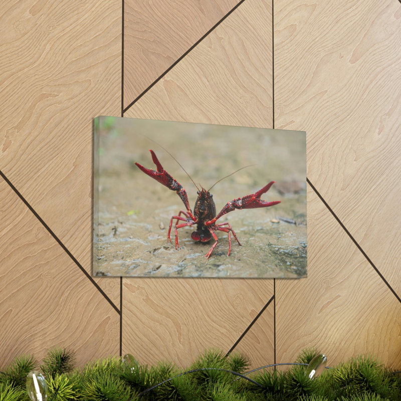 Crawfish Hunting Crawfish on Hunt Print Animal Wall Art, 11" H x 14" W