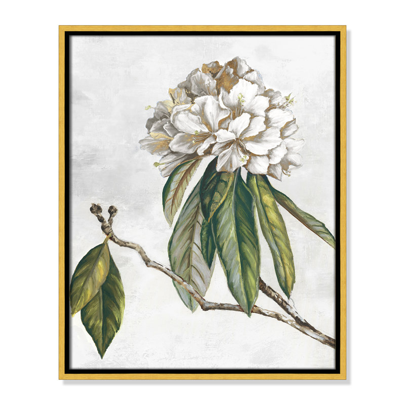 «Pearly Beauty II» par Eva Watts, L 17,5 po x H 21,5 po, Toile avec cadre, Flotteur doré