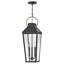 Hinkley Dawson Hanging Lantern