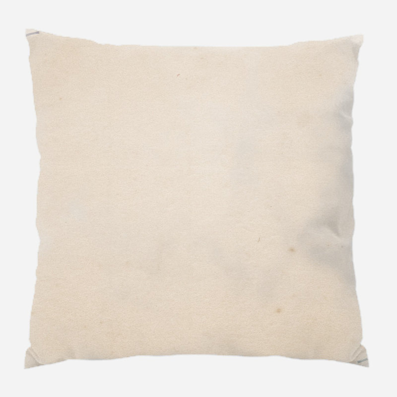 Outdoor Reversible Throw Pillow, Microsuede, Indoor
