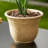 HC Companies Sierra 10 Inch Round Garden Planter Pot, Arizona Sand (4 Pack)