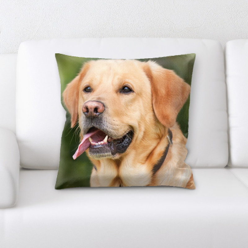 Coussin pour chien