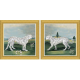 White Leopard Standing & Walking Print by Dana Gibson