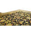 Wool Oriental Area Rug