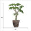 Pin artificiel 53,5 "en pot