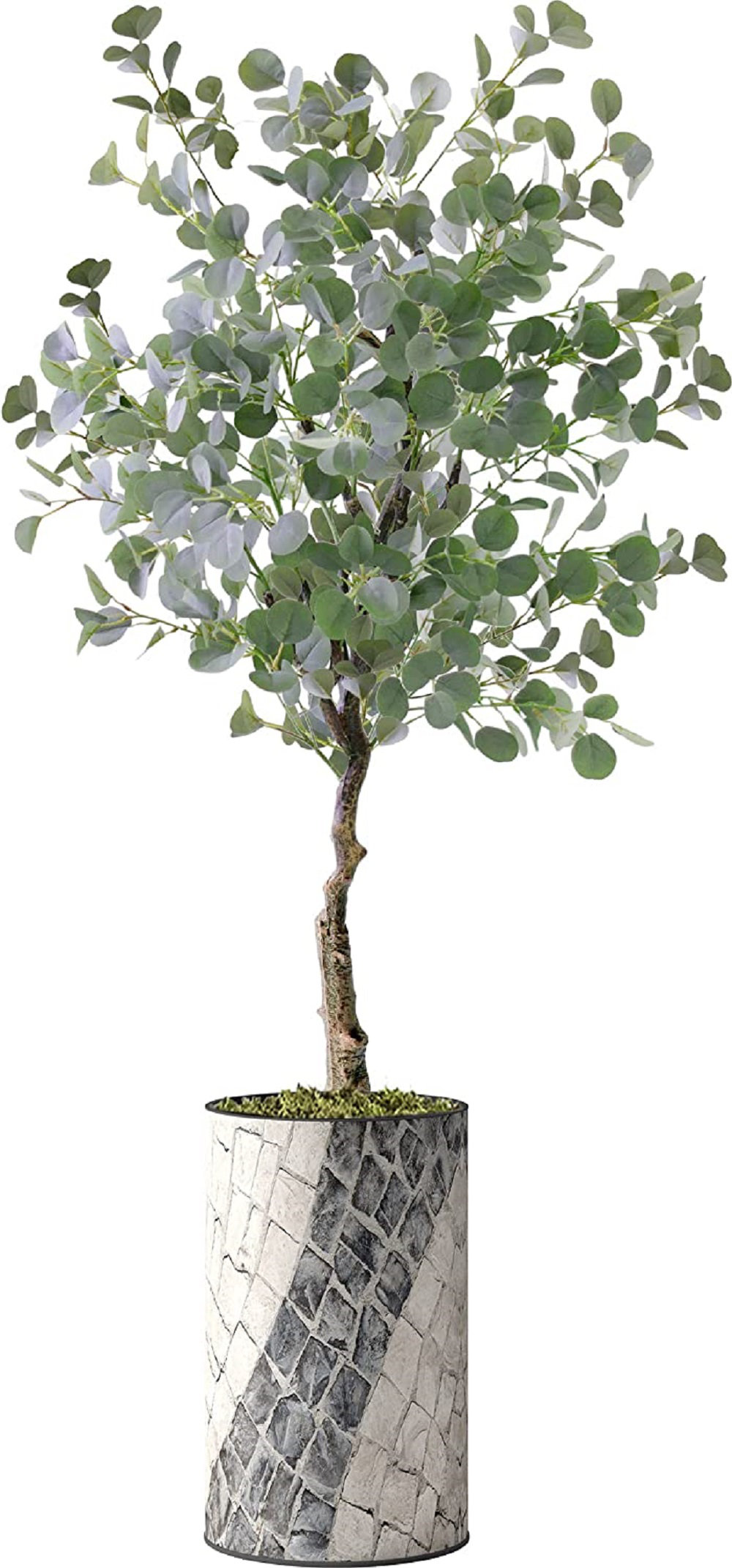 SIGNLEADER Artificial Eucalyptus Tree in Planter | Wayfair