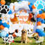 9 ballons en aluminium pour articles de fête pour chien, articles de fête pour chien