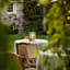 Cielita Table Lamp