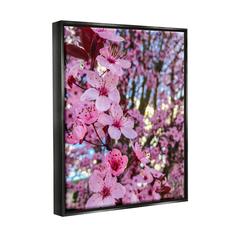 " Spring Cherry Blossom Tree Nature " by Heidi Bannon, Jet Black Floater Frame, 21" H x 17" W x 1.7" D