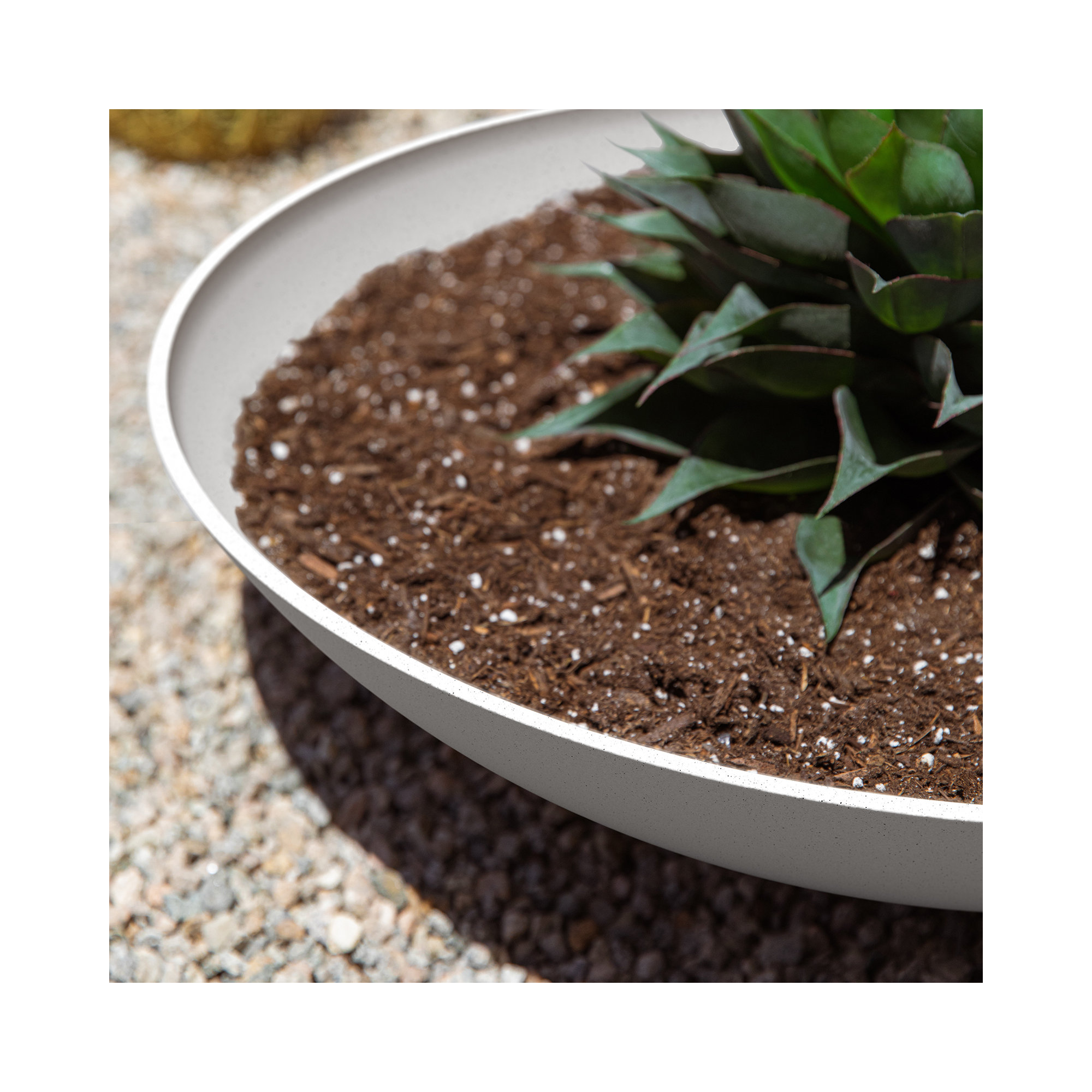 Pure Series Lane Bowl Planter, White, Set of 1, 6" H x 24" W x 24" D