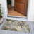 Machine Washable Indoor/Outdoor Xhevrie Pewter Rug-111824863