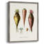 Reproduction encadrée de fruits et légumes VI - bois massif-1386446839
