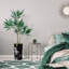 66 plantes-97700192