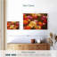 Jardin Harnek Ranunculus-108958001
