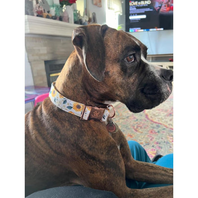 Dog Collar Sunflower Pattern Pet Collar Durable Cute Dog Collars Summer Fall Female Pet Gift Adjustable Dog Collar For X Dogs