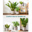 Ceramic Pot Planter-29410798