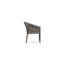 Maui Dining Chair + Fawn Cushion