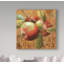 « apple saison i », reproduction d’impression sur toile tendue-33409527