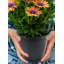 Ensemble de cache-pots en métal Dawoud-1325292569-1325292581