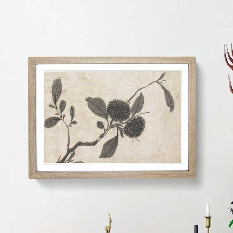 Branch of a Fruit Tree by Shen Zhou - Picture Frame Painting Print, 27cm H x 36cm W x 2cm D, Oak Framed
