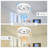 Coel 19 Inch Modern Smart Low Profile Flush Mount Ceiling Fan with Lights and APP Control