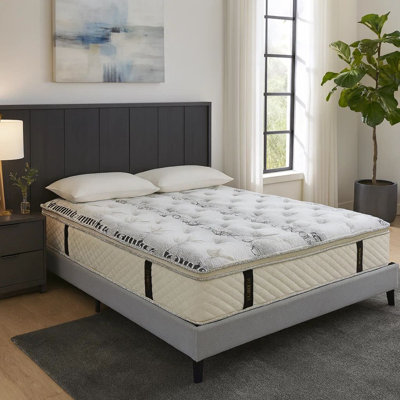 Armana 12'' Plush Memory Foam Mattress