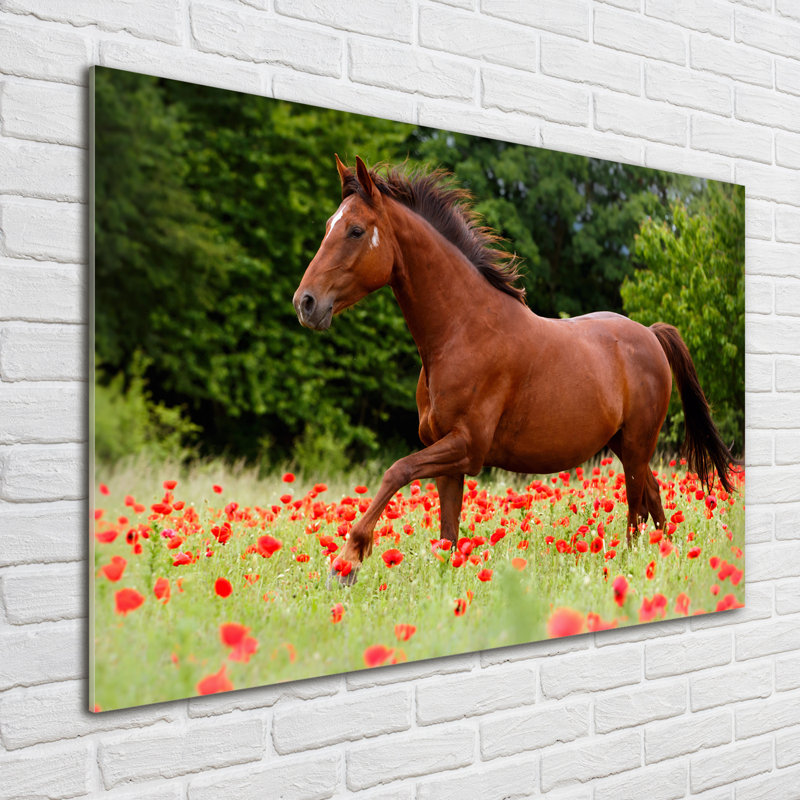 Horse On The Poppy Field - No Frame Print on Glass